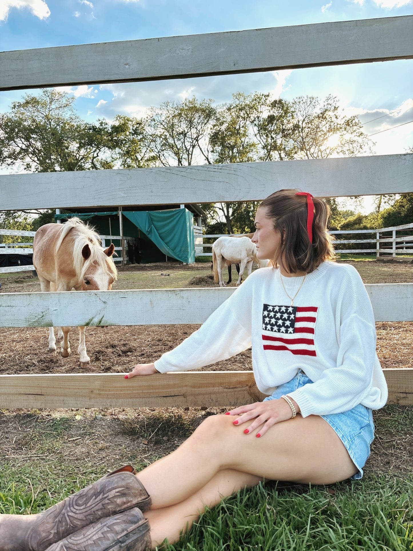 American Flag Sweater