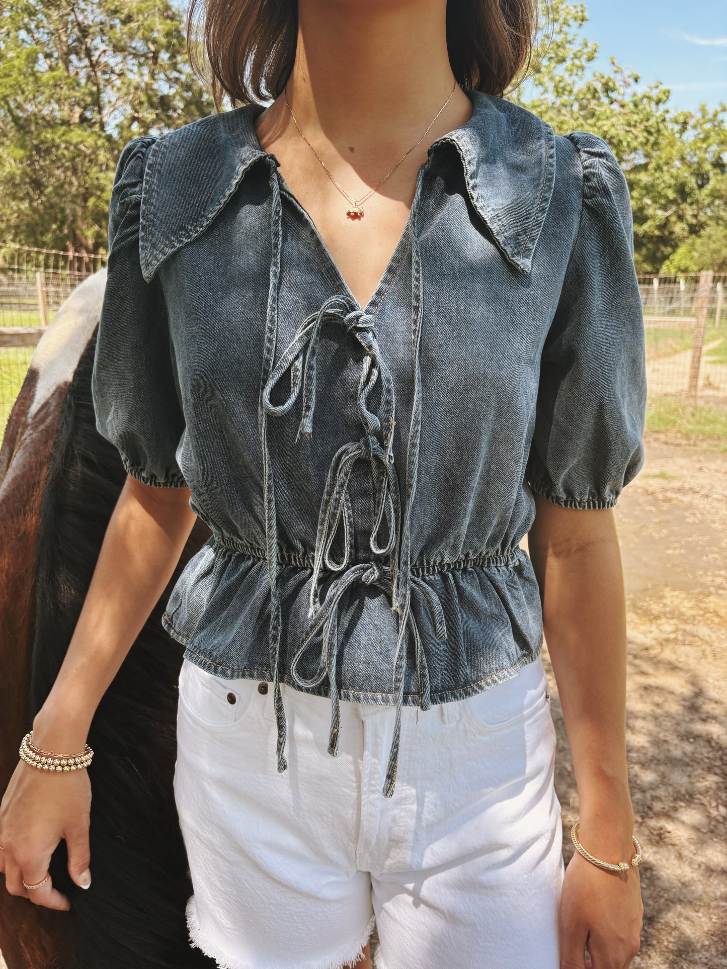 Ashton Denim Blouse