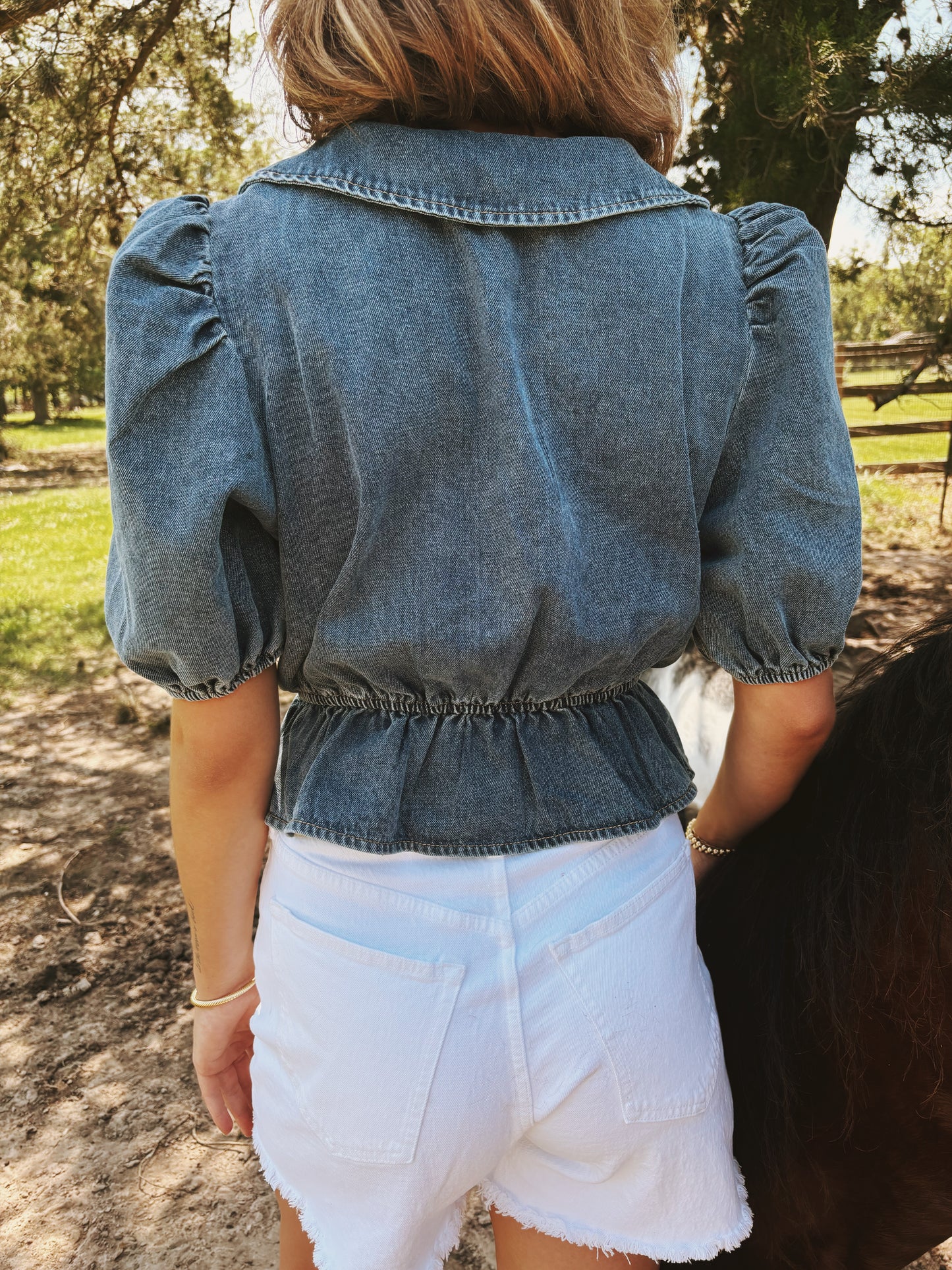 Ashton Denim Blouse